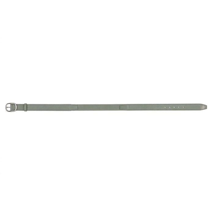 Gfore Circle G's Webbed Golf Belt Isle - SP26 Men