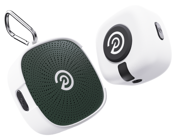 Forest Green P Logo