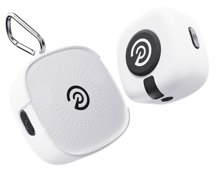 White P Logo