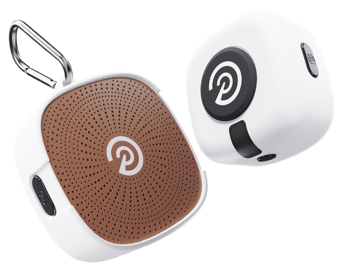 Brown P Logo