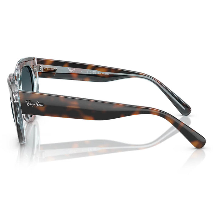 Ray-Ban Doreen Sunglasses