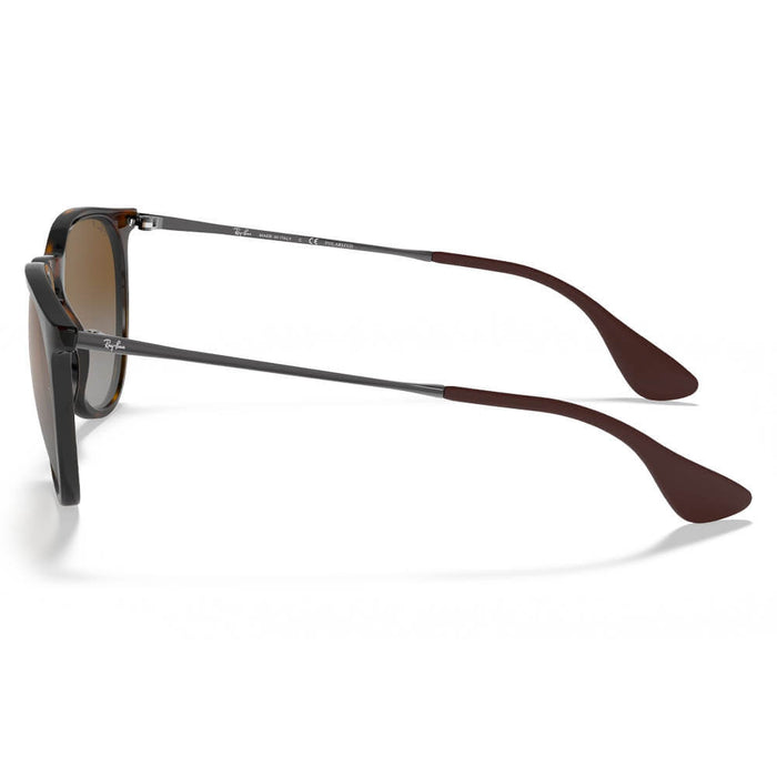 Ray-Ban Erika Classic Sunglasses